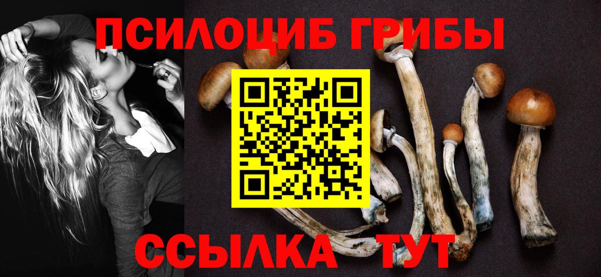 Псилоцибиновые грибы Cubensis  Вход с VPN  Псилоцибиновые грибы Psilocybine cubensis  Сердобск 